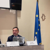 Curriculum di Luigi Zingone (Professore straordinario di Economia e Gestione delle Imprese presso l’Università eCampus)